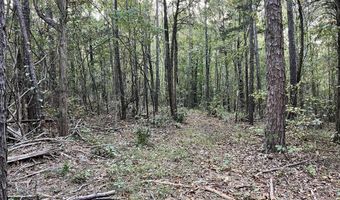 County Road 225, Blue Springs, MS 38828