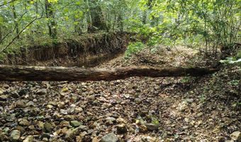 Farm Road 1245, Aurora, MO 65605