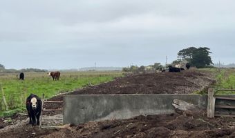 1127 Moxon Ln, Arcata, CA 95521