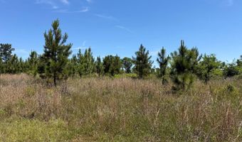 County Road 38, Autaugaville, AL 36003