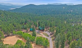 104 Six Bits St, Bailey, CO 80421