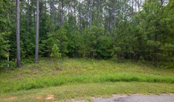 Lot 114 Dock Side Lane, Lincolnton, GA 30817