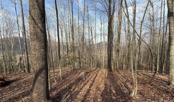 1029 Chippawa Dr 67, Arden, NC 28704