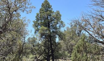 61 Colt Ct Se4 Rd, Ash Fork, AZ 86320