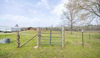 1896 PURDY BEAUTY HILL Rd, Bethel Springs, TN 38315