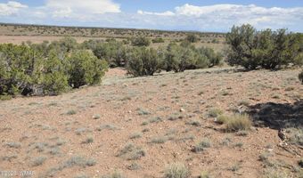 19 C & D County Rd N9033, Concho, AZ 85924