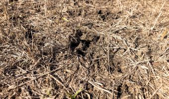 0 Thomas Rd, Altoona, KS 66710