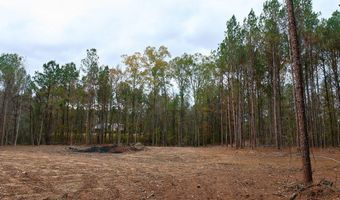 00002 Trickhambridge Rd, Brandon, MS 39042