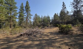 Cathy Way lot 21-23, Beatty, OR 97621