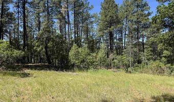 216 Fawn Dr, Bayfield, CO 81122