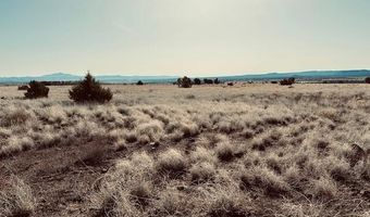 90 B Volcano Trl, Ash Fork, AZ 86320