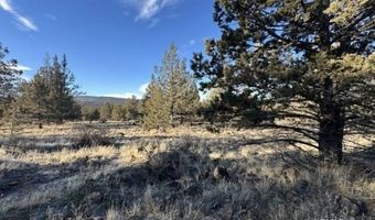 Canvasback Drive, Bonanza, OR 97623