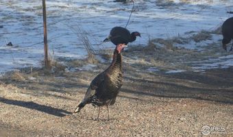 4301 W County Road 4, Berthoud, CO 80513
