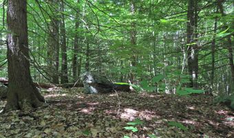 Wendy Drive lot 134-135, Alton, NH 03810