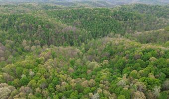1271 A Tunnel Ridge Rd, Argillite, KY 41121