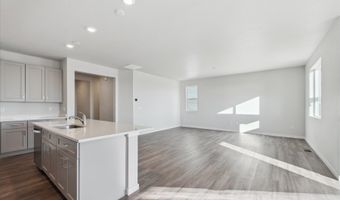 1446 Farmstead St, Brighton, CO 80601