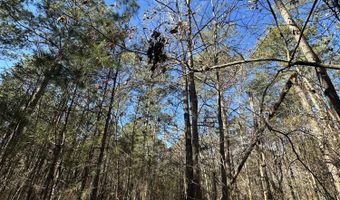 Lot 37 PETERSBURG Trace, Lincolnton, GA 30817