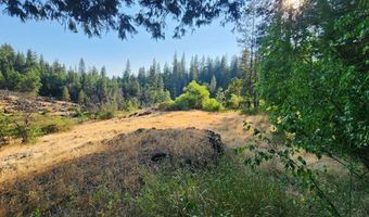 2033 Love Creek Rd, Arnold, CA 95223