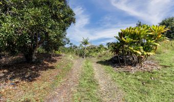 81-1045 KEOPUKA MAUKA Rd, Captain Cook, HI 96750