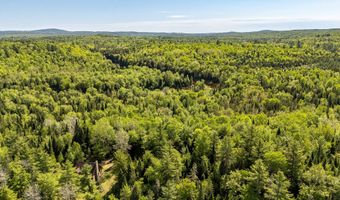 131 Gales Rd, Abbot, ME 04406