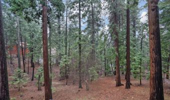 1996 Seminole Way, Arnold, CA 95223
