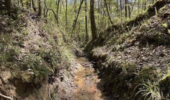 SW Auburn Drive, Bogue Chitto, MS 39629