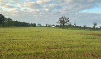 447 CR 215, Abbeville, MS 38601