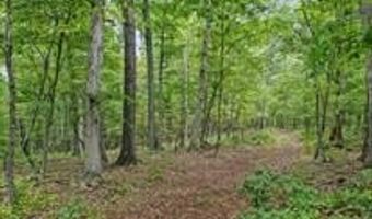 GALILEE ROAD, Big Pool, MD 21711