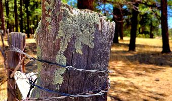 Tbd STONE CREEK RD CR 2117, Alpine, AZ 85920