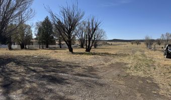 302 Smokey Bear Blvd, Capitan, NM 88316