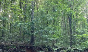 ALEXANDRIA WELLINGTON ROAD lot 14, Alexandria, AL 36250