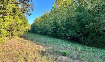51 Shelton Rd, Bee Branch, AR 72013