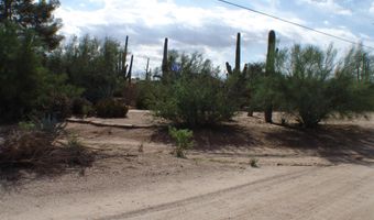 31607 N 64TH St, Cave Creek, AZ 85331