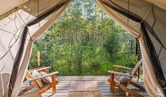 9555 Castle Creek Rd, Aspen, CO 81611