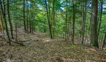 00 Thorn Hill Rd 54-L0E, Bartlett, NH 03812
