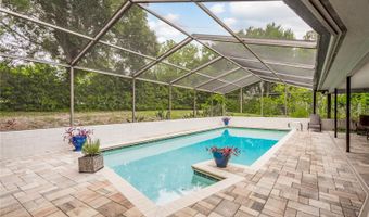1337 WILLOW BROOK Dr, Palm Harbor, FL 34683