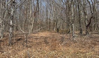 Lot 2 Doig Hollow Road, Andes, NY 13731