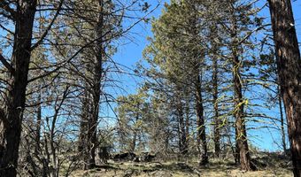 29325 Goldfinch Dr, Bonanza, OR 97623