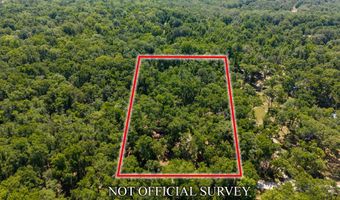 4509 NW 63rd Ter, Bell, FL 32619