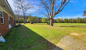 201 MEADOWLINKS Dr, Fort Gaines, GA 39851