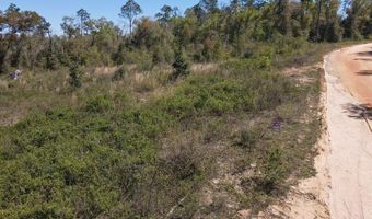 Powder Circle, Alford, FL 32420