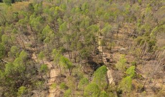 Martha Stockton Road, Albany, KY 42602