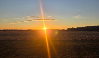 31598 JESTICE FARM Rd, Laurel, DE 19956