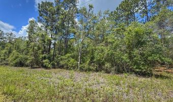 6339 NW 17th Ct, Bell, FL 32619