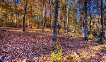 54 E Ridge Rd, Allardt, TN 38504