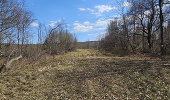 295 Shellstone Rd, Amsterdam, NY 12010