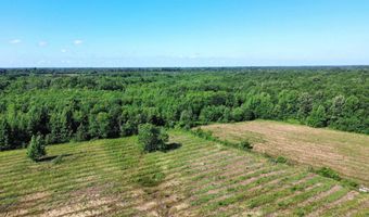Pine Prairie Rd, Ashdown, AR 71822