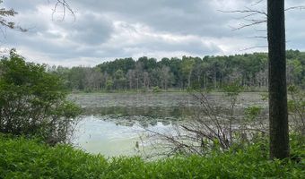 14900 Woodbridge Rd, Camden, MI 49232
