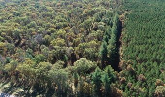 10 Acres County Road C, Arkdale, WI 54613