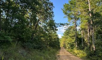 0 Military Rd, Beaverton, AL 35544